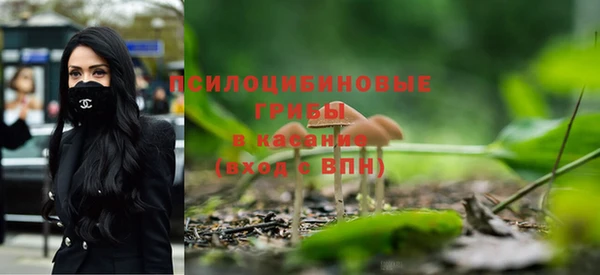 хмурый Балахна