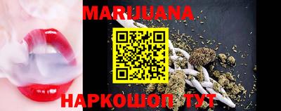 сатива Кингисепп