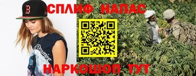 сатива Кингисепп