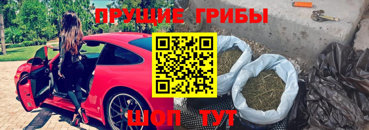 Галлюциногенные грибы GOLDEN TEACHER Корсаков